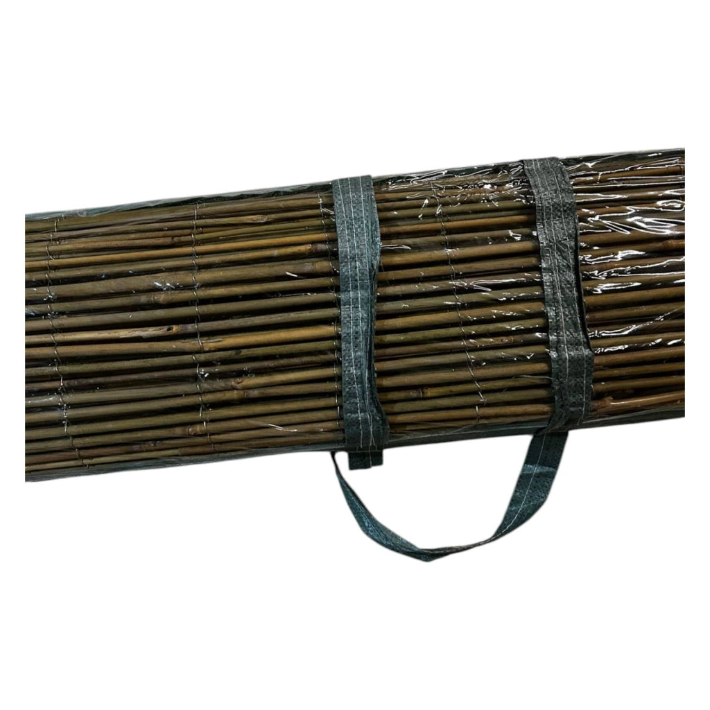 ARELLA IN BAMBOO CANNE 8/10 CA. MT 3X1