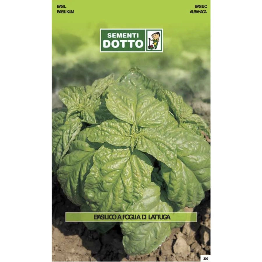 SEMENTI EXTRA_BASILICO FOGLIA LATTUGA