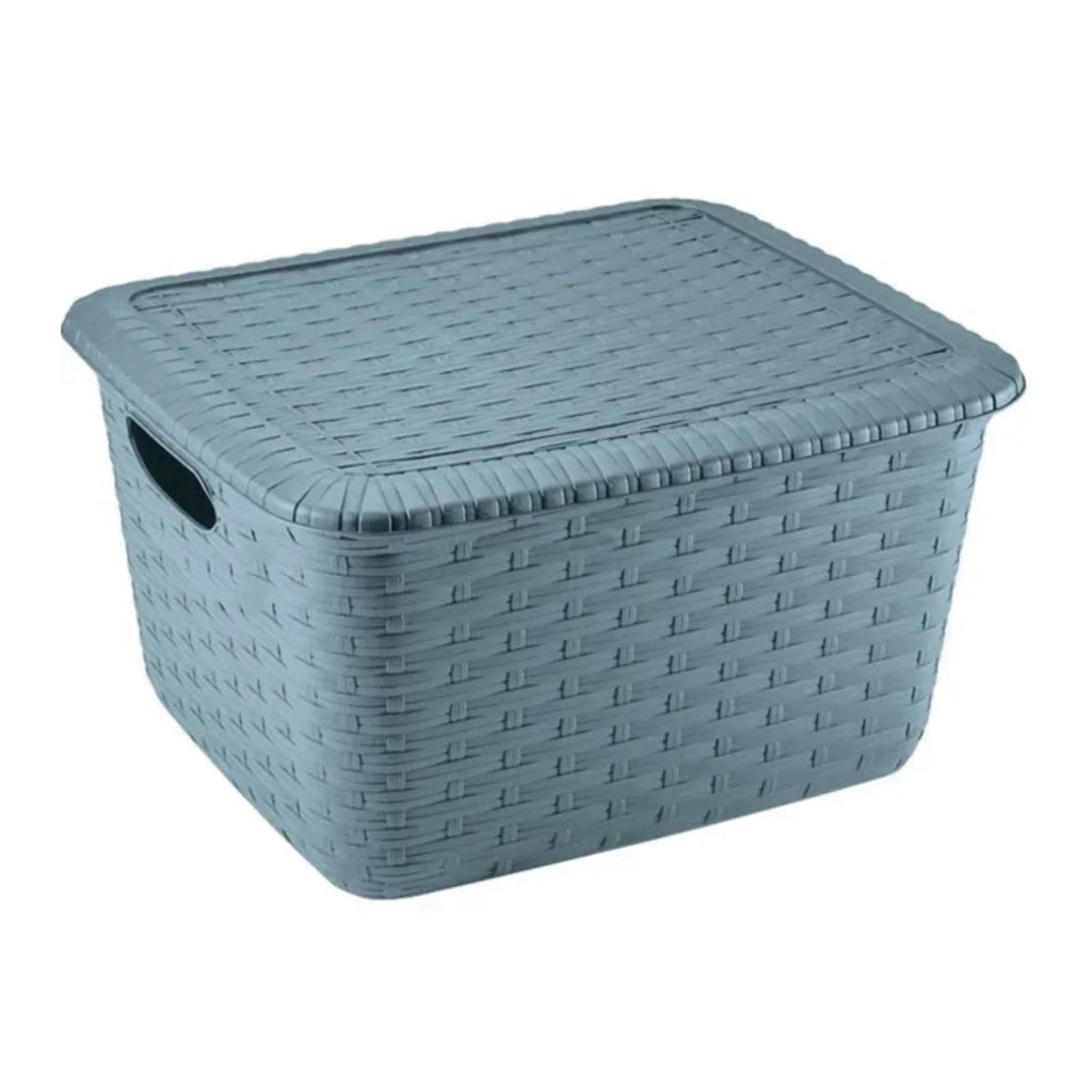 Dandy Plus box contenitore effetto rattan Avorio/36 x 29,5 x 22 cm • 15 L