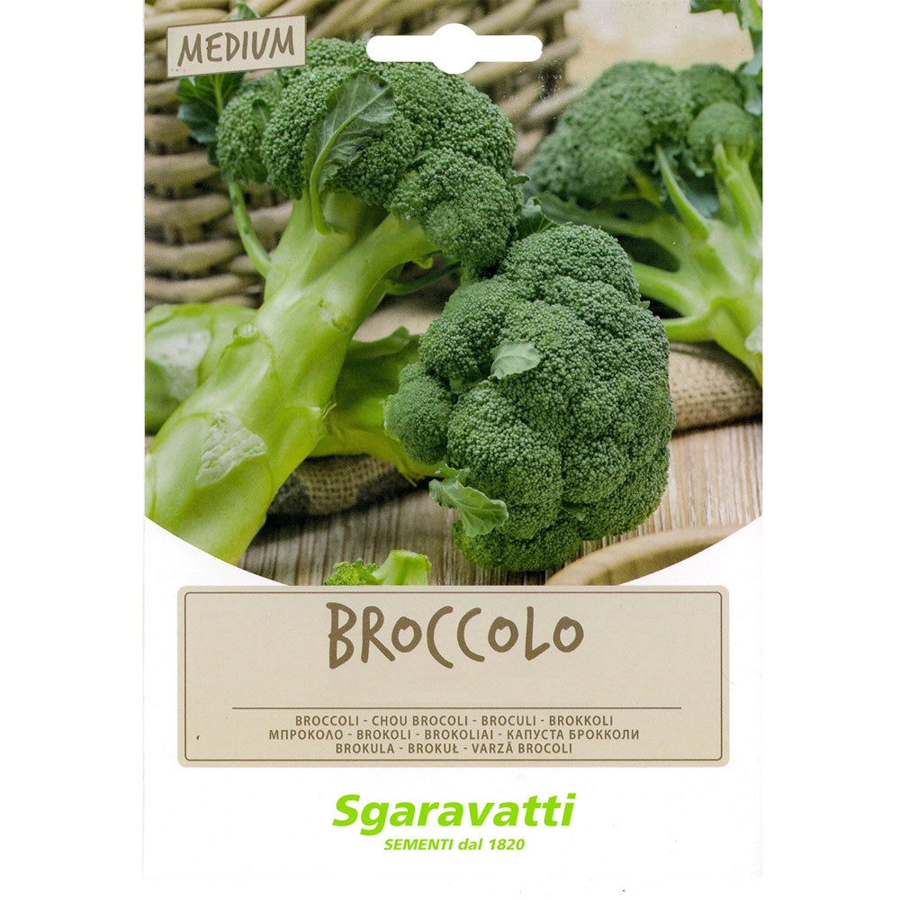 SEMI PER FAVE broccoletto sessantino riccio S. Marzano - gr 100  - SGARAVATTI