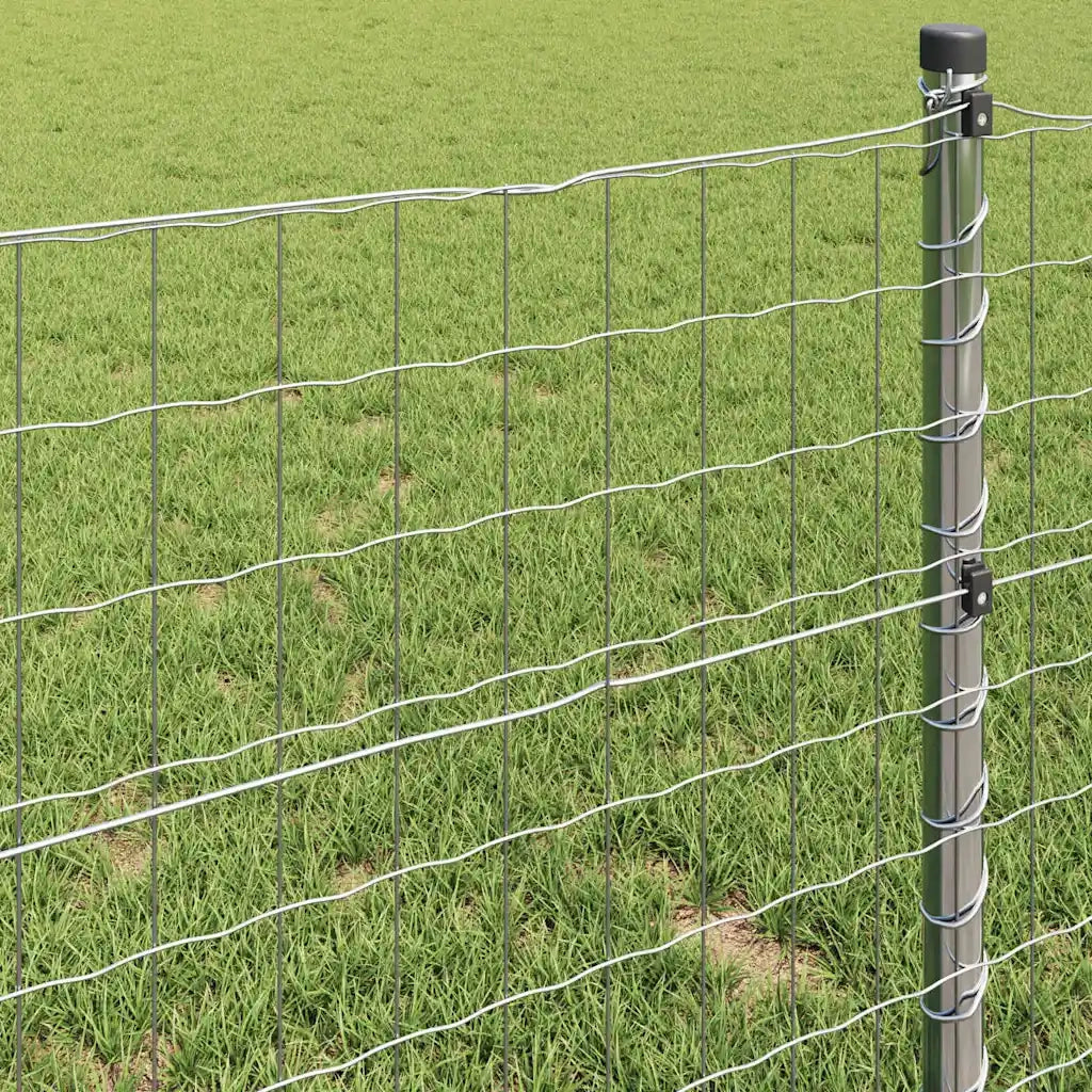 Recinzione da Giardino | Recinzione Euro 0,8 x 25 m Ferro rivestito in PVC