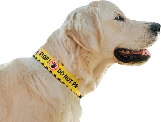 Collare per Cane Adattabile per Esigenze Speciali - Nero/Giallo, Taglia XL