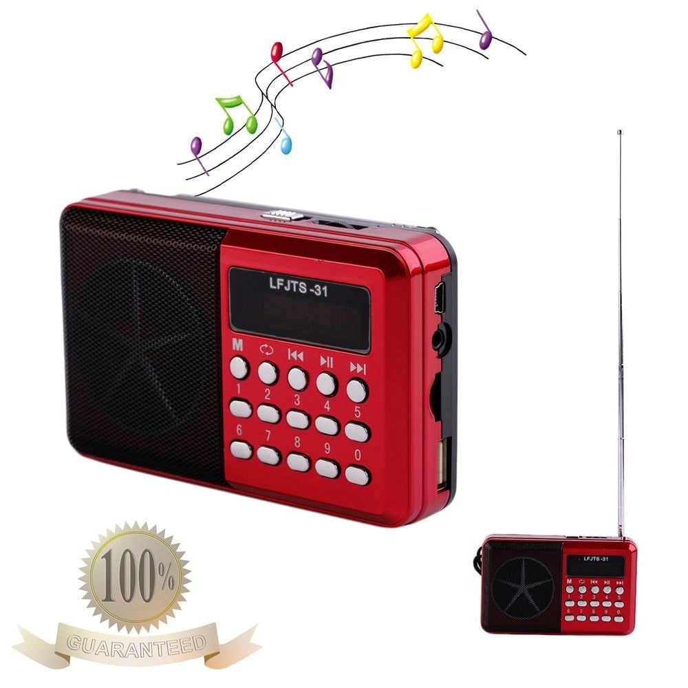 Trade Shop - Radio Lettore Mp3 Mini Speaker Portatile Con Flash Driver Tf Card Display Led -