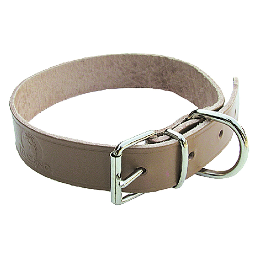 COLLARE PER CANE larg. mm 25 lung. cm 51- 6 pezzi