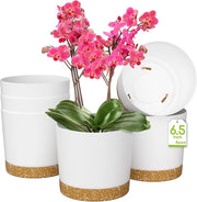 Pentole per Piante - Set di 6 - Bianco - Plastica - 16,5 cm