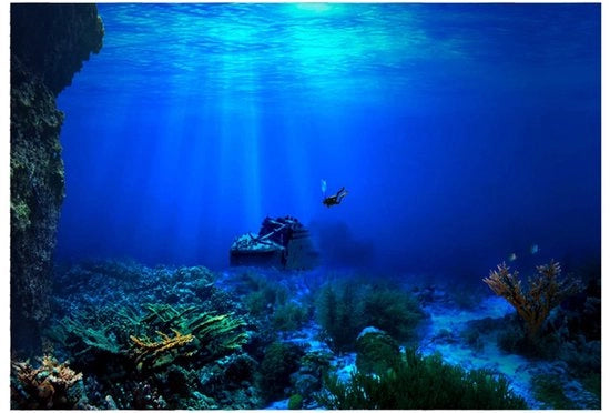 Decorazione Acquario Sticker - Impermeabile - Autoadesiva - Disegno Realistico - PVC di Alta Qualità - Accessorio Acquario Moderno - Decorazione Perfetta per Animali d'Acqua - Decorazione Acquario