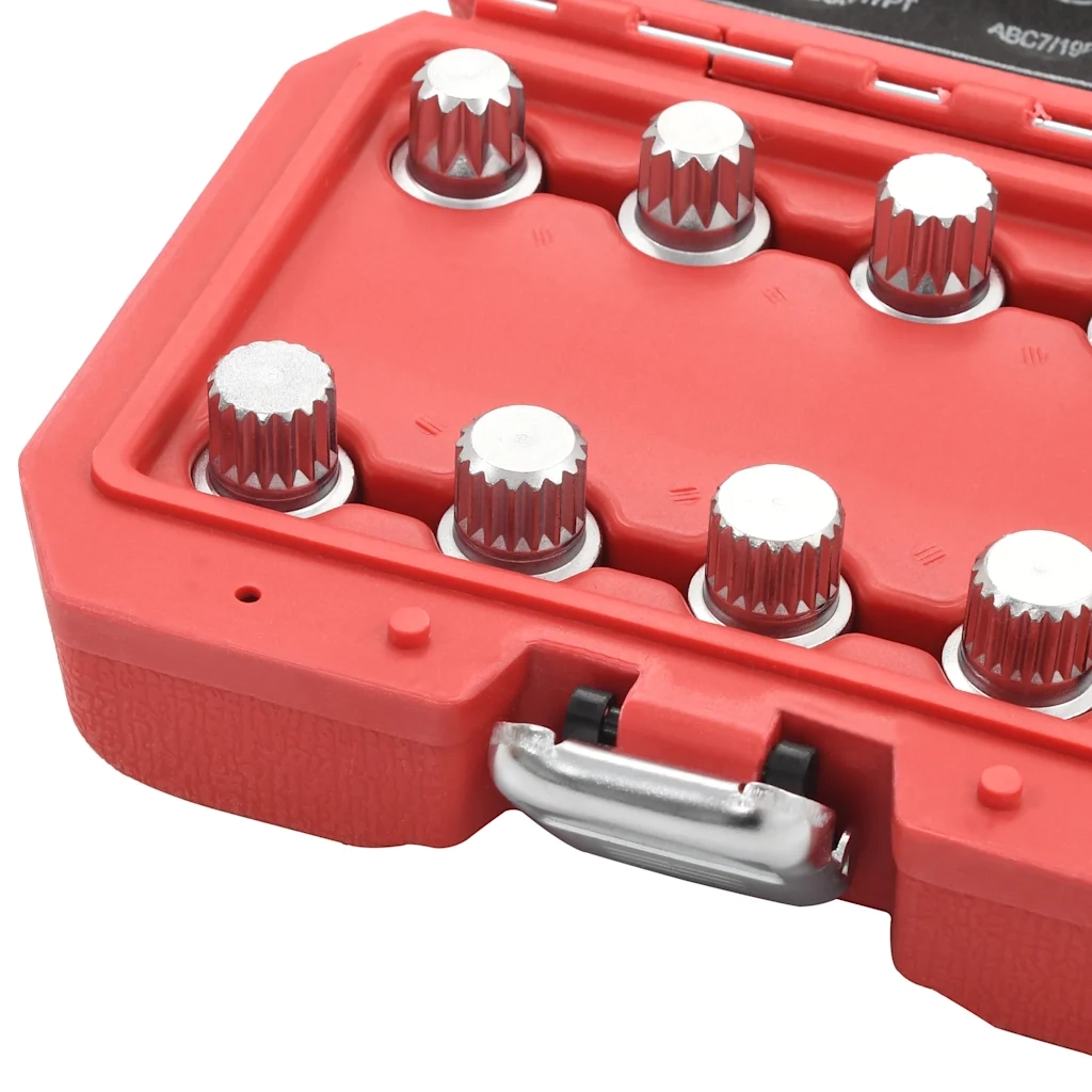 Kit di Dadi Autobloccanti 10 pz per VW 210492