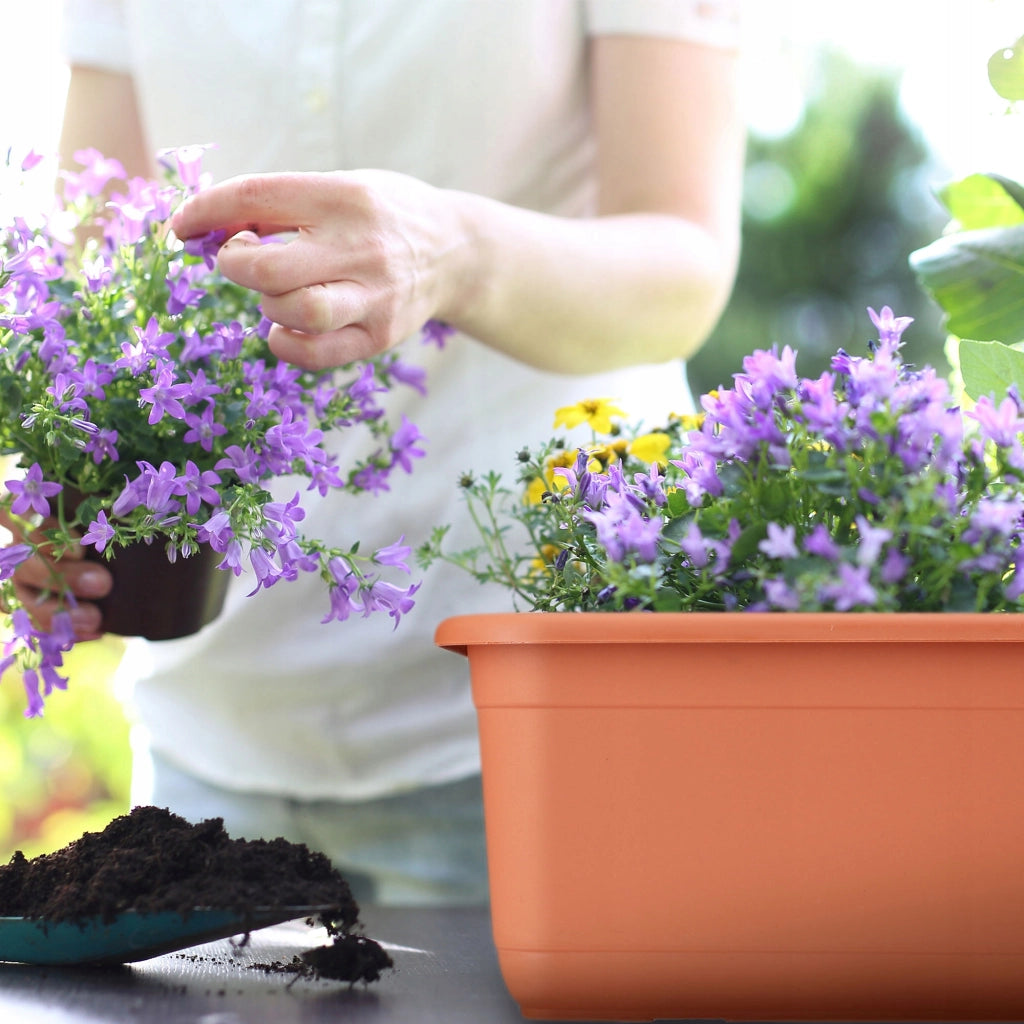 Vaso da fiori rettangolare in plastica KADAX per balcone, 80 cm.