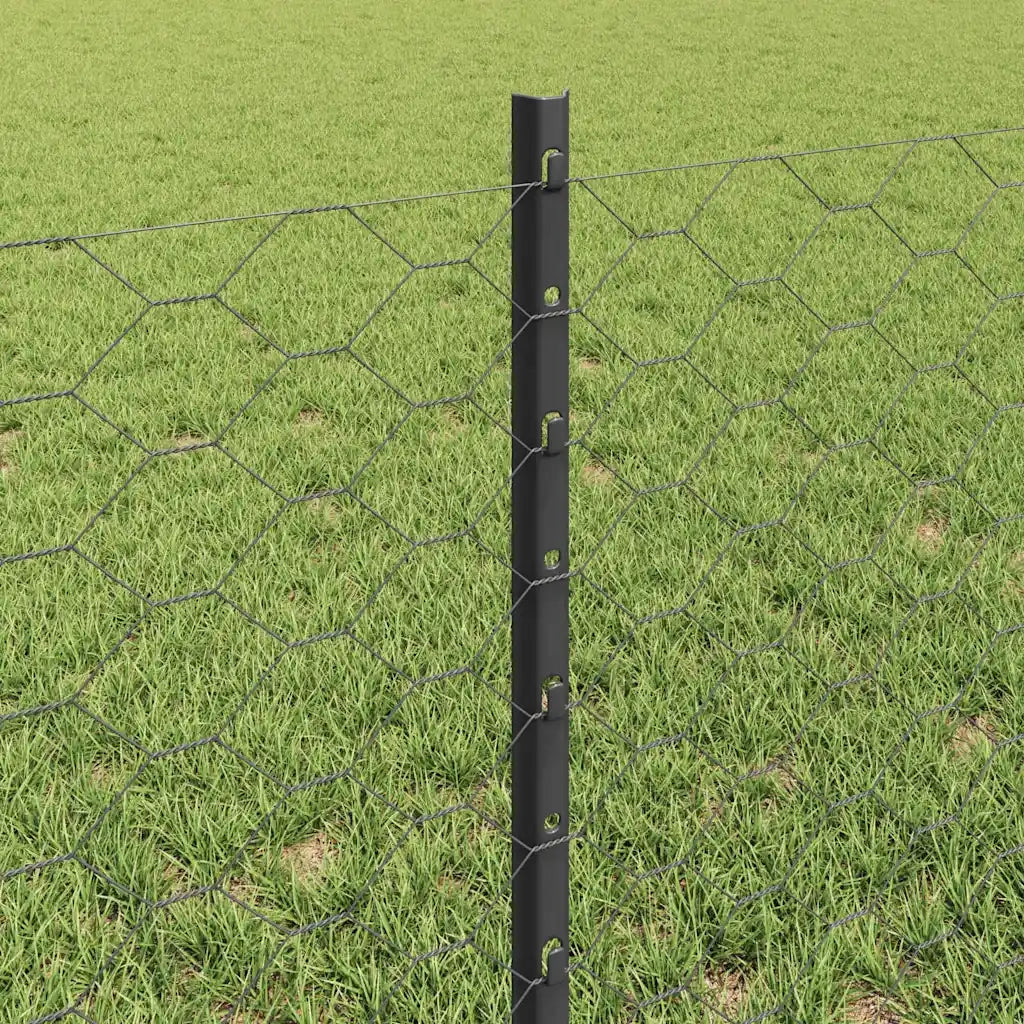 Recinzione da Giardino | Recinzione con Posto Grigio