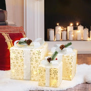 Regalo di Natale luminoso con dozzina decorativa