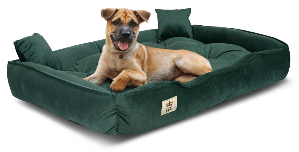 AIO FACTORY 115x95 cm Letto per cani in velluto verde scuro impermeabile