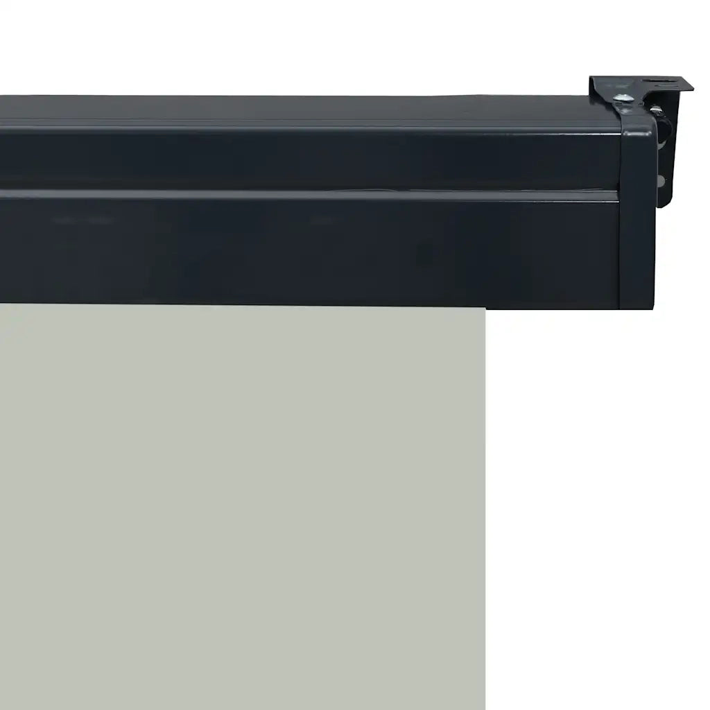 Tendalino Laterale per Balcone 65x250 cm Grigio 48404