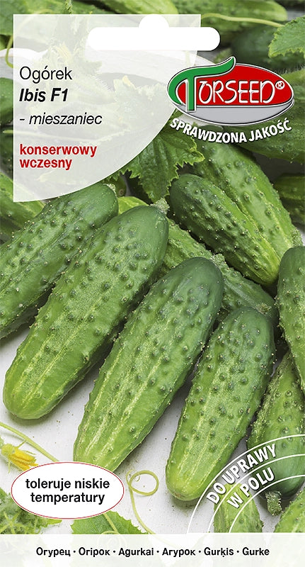 Cetriolo sottaceto Ibis F1 campo 5g