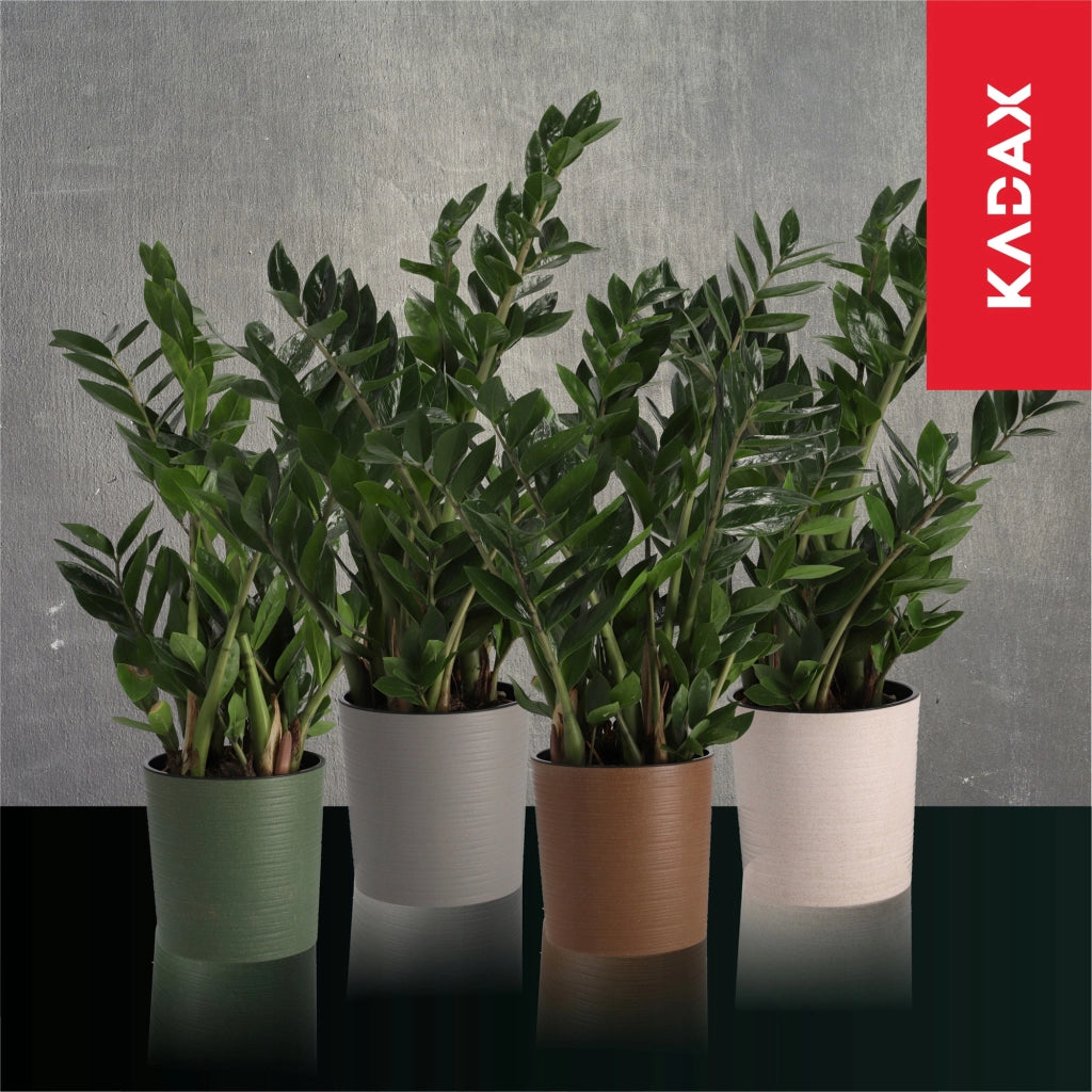 Vaso da fiori KADAX, supporto per fiori, 19 cm, per soggiorno, beige + inserto