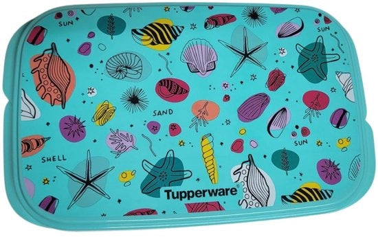 Lunchbox per viaggio con distributore Eco+ Scuola (595 ml con conchiglie turchese)