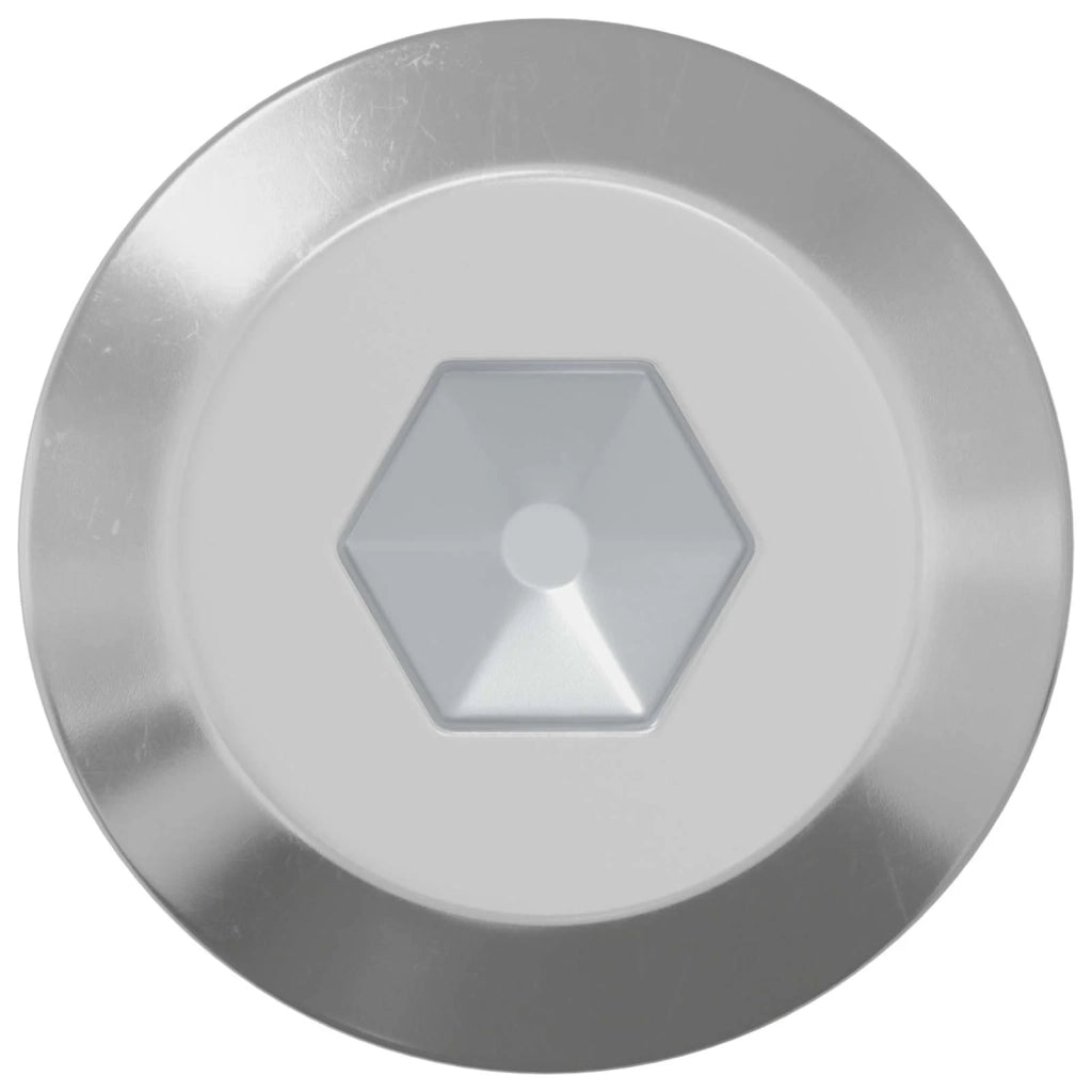 Vite 2 pz Argento M6 x 60 mm Acciaio CFW7858665