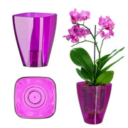 Vaso da fiori KADAX per orchidee, in plastica, viola, 13 cm