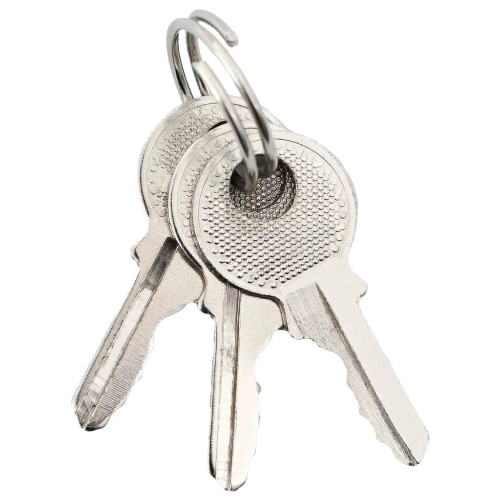 U Lock con Chiavi 2 pcs Ottone Ferro 42021894