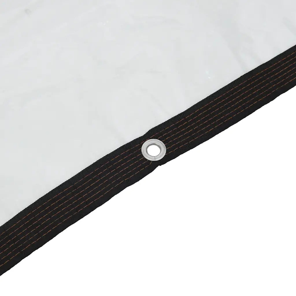 Telone trasparente con occhielli 3x4 m in polietilene 4018556