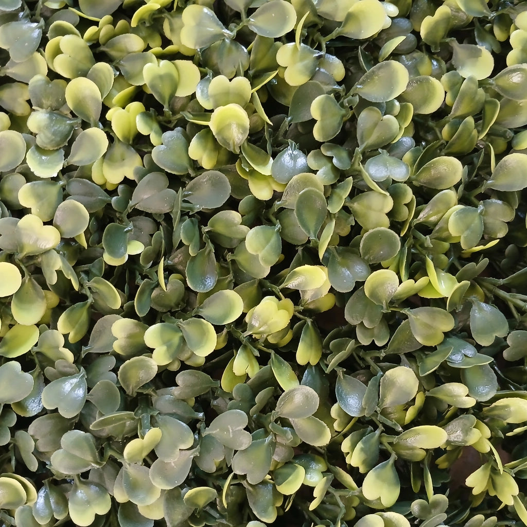SIEPE ARTIFICIALE BOXWOOD 50X50CM VERDE FISSA