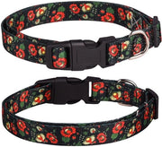 Collare per cani flessibile - Collare per cani morbido - Collare per cani con fiori - Collare per cani ecologico - Collare per cani M/L/XL - Adatto per piccoli/midi/grandi cani - Attrezzo per cani