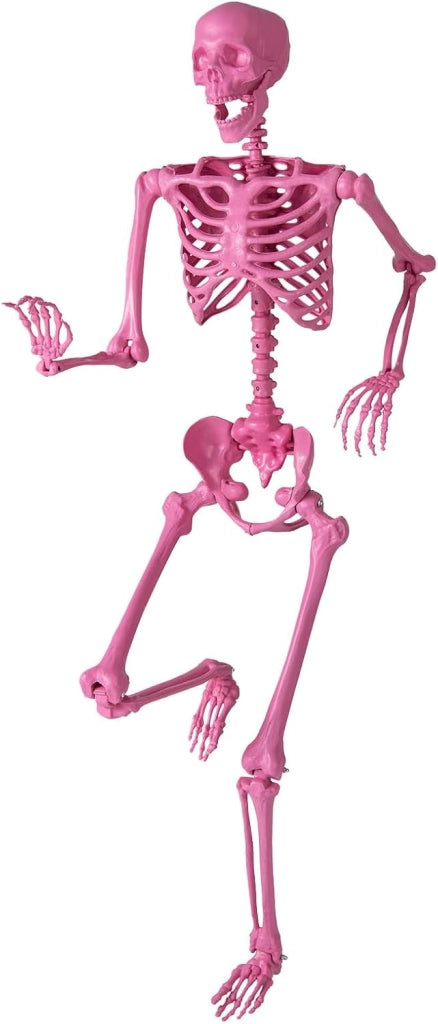 COSTWAY Scheletro di Halloween 160 cm, Scheletro Umano a Grandezza Naturale con Giuntura Mobile, Halloween Decorazione da Interno ed Esterno, per Giardino, Feste di Cimitero e Casa Infestata