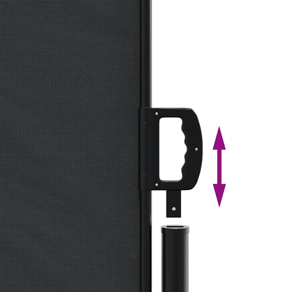 Tenda da Sole Laterale Retrattile Nera 120x600 cm 4004594
