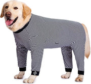 Vestiti da Notte per Cani