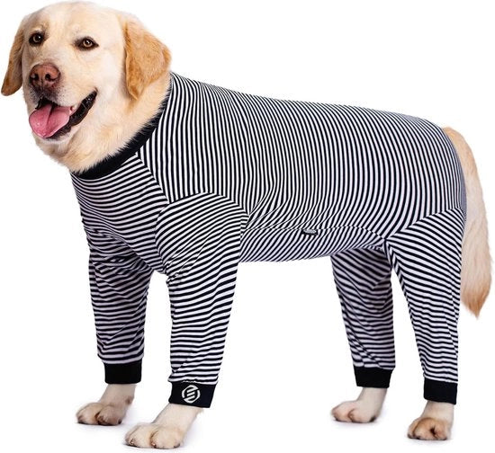 Vestiti da Notte per Cani