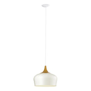 Lampadario A Sospensione Minimal Obregon Acciaio Crema 1 Luce E27