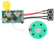 Modulo vocale 120 secondi registrabile - Carta di voce DIY - Modulo audio - Prodotti artigianali - Impostazione facile - Batteria ricambiabile