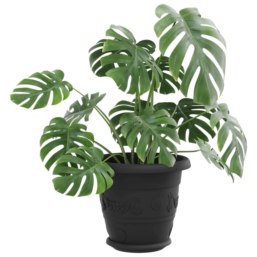 Vasi per Piante 6 pcs Nero Ø 22 x 18 cm Plastica 3403275
