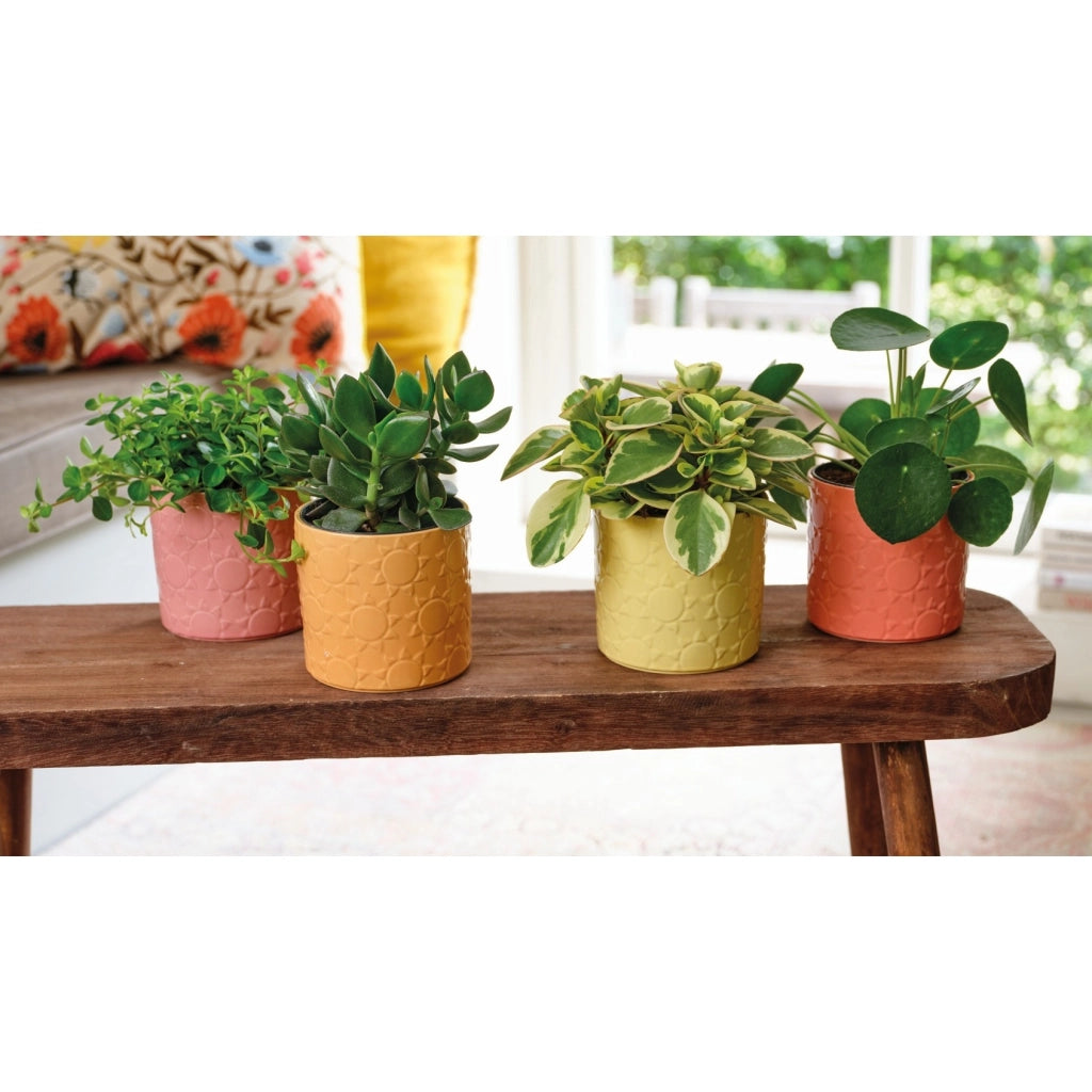 VASO IN GRES SMALTATO D.12XH11CM IN 4 COLORI