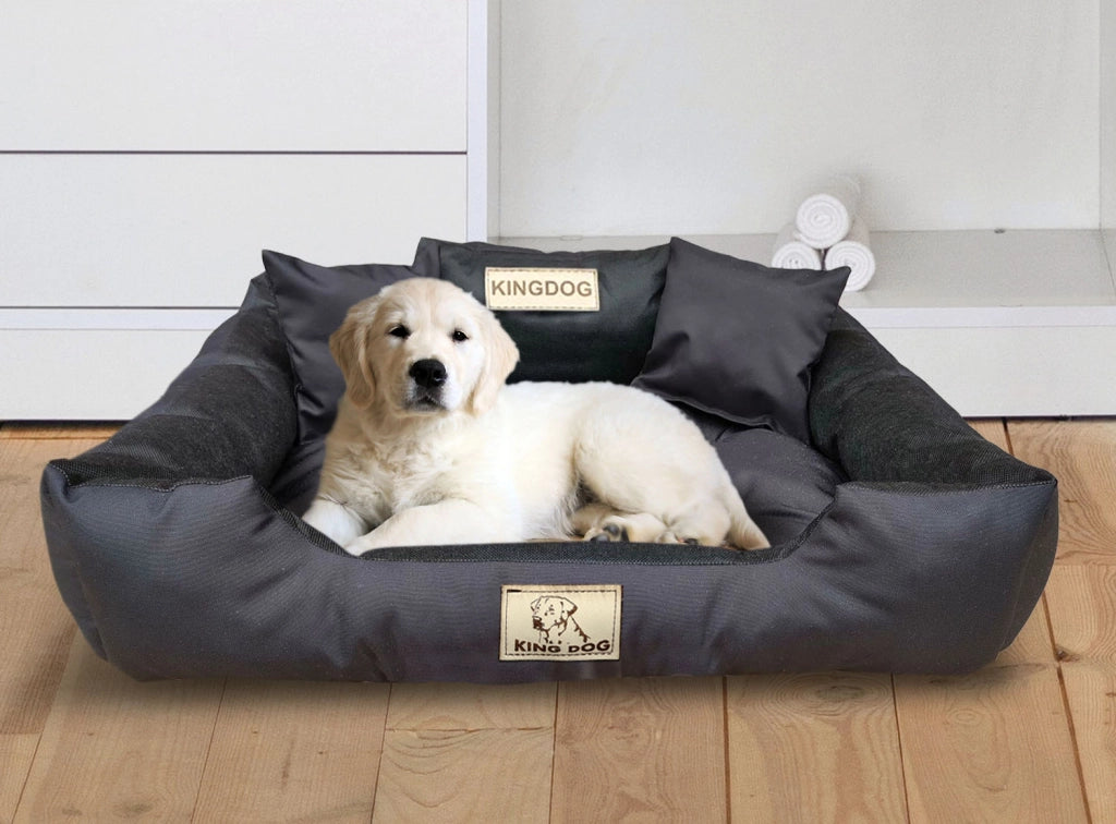 AIO FACTORY 75x65 cm KINGDOG Cuccia per cani impermeabile personalizzabile Nero