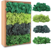 Materiale Decorativo Isolese - 200 g - Geconserveato - Materiale Decorativo per Fiori - Materiale Naturale - Decorazione Creativa DIY - 4 Tinte Verdi - Materiale Decorativo