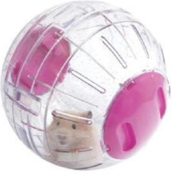 Attività Giochi per Hamster con Glitter - Divertimento e Movimento per Piccoli Animali di Compagnia