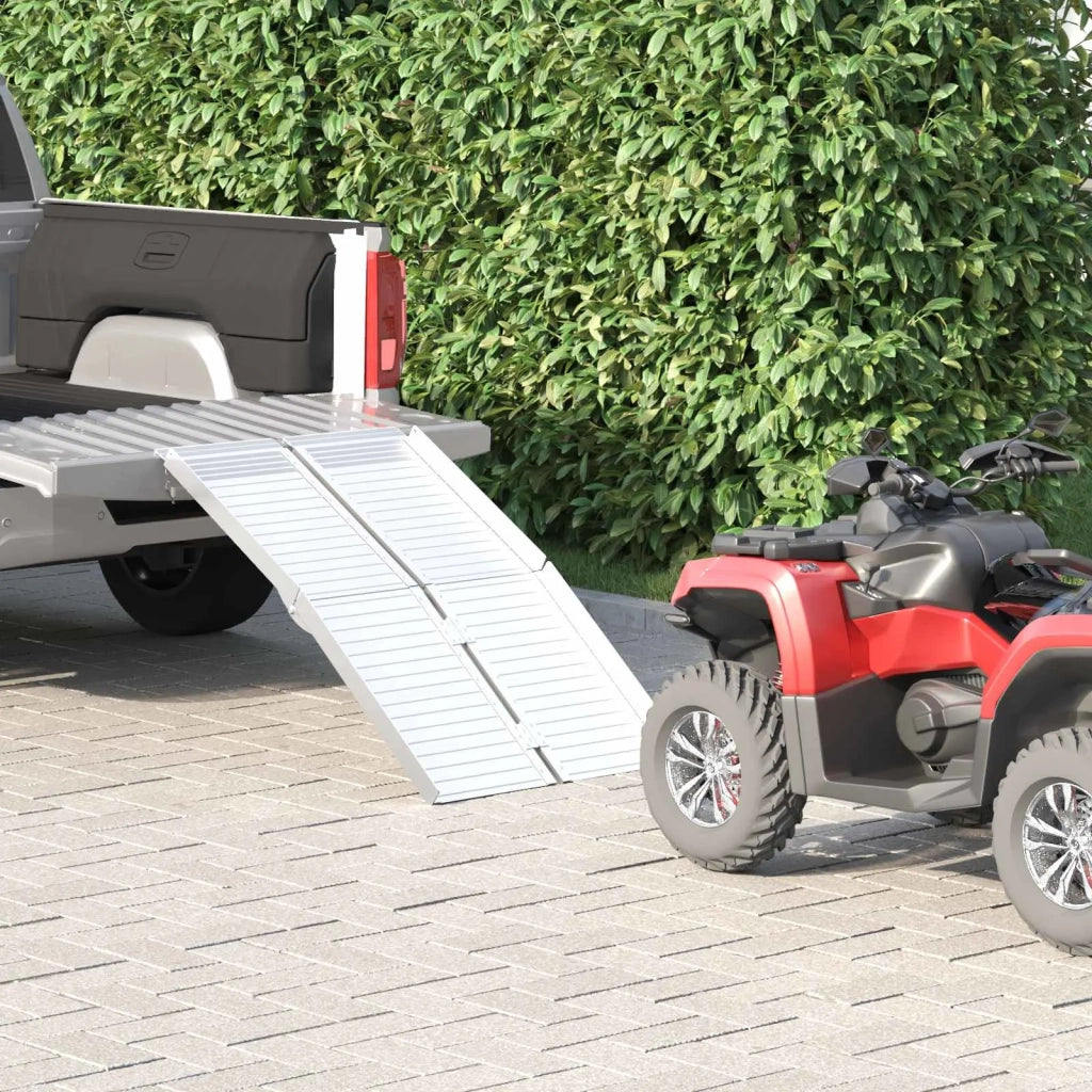 Rampa per sedia a rotelle 270 kg Argento 92 x 73 x 5 cm