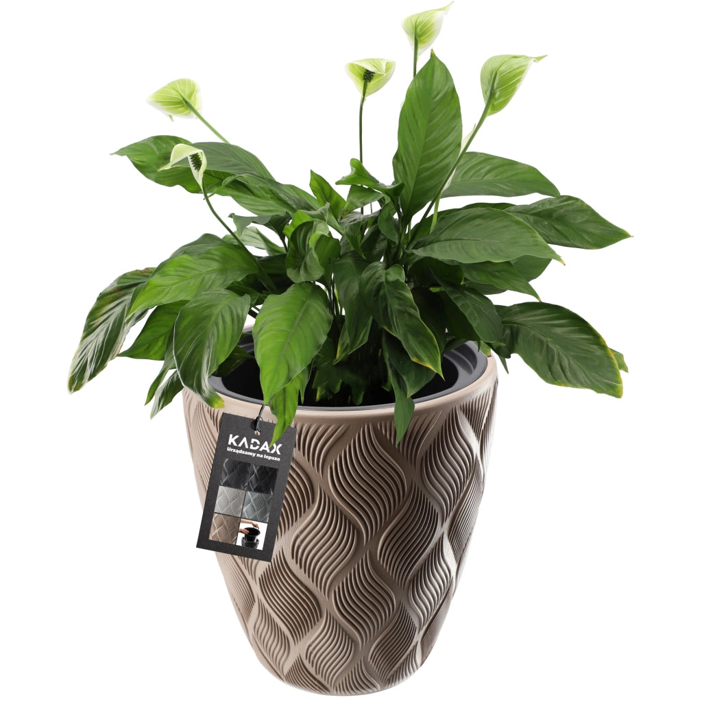 Vaso da fiori KADAX con inserto 42 cm, copertura per vaso da fiori in plastica alta