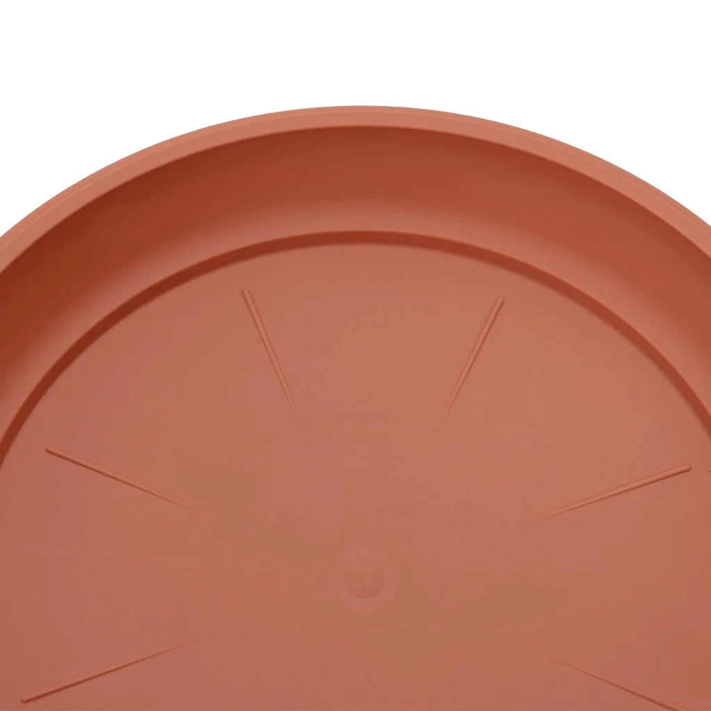 Vasi per Piante 6 pcs Rosso Mattone Ø 12,5 x 10 cm Plastica 3403254