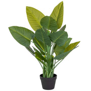Succulenta decorativa artificiale verde 40x30x88