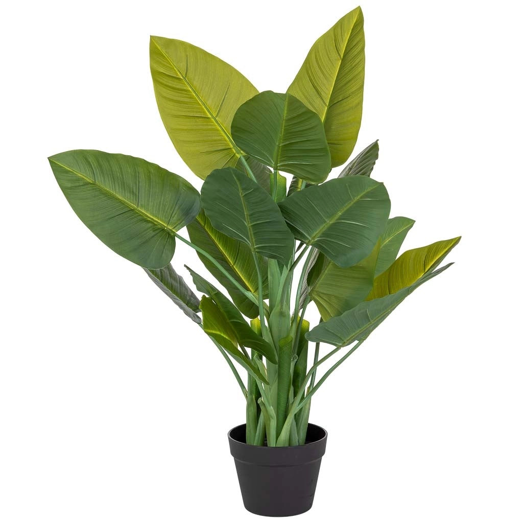 Succulenta decorativa artificiale verde 40x30x88