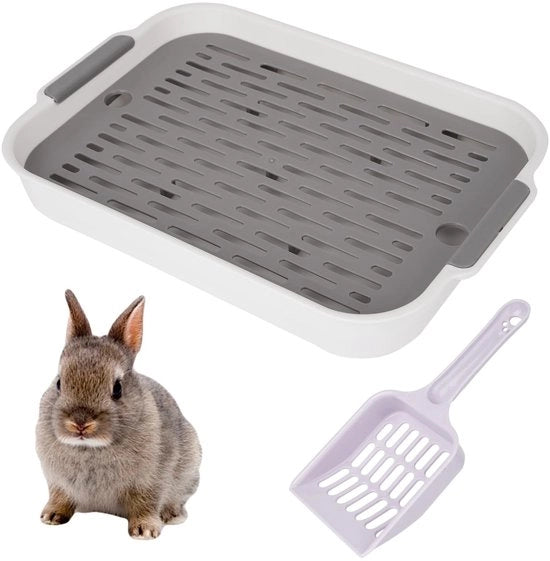 Contenitore di raccolta verde, con scopa e accessori per cavia, coniglio e piccoli animali, contenitore per animali da compagnia, consigli per la cura degli animali da compagnia, accessori per la gabbia, contenitore per cavia e coniglio.