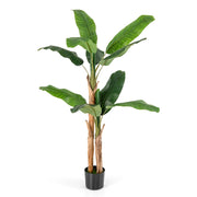 Albero di banana finto con grandi foglie e vaso-Albero di banana artificiale con corteccia naturale alto 165 cm