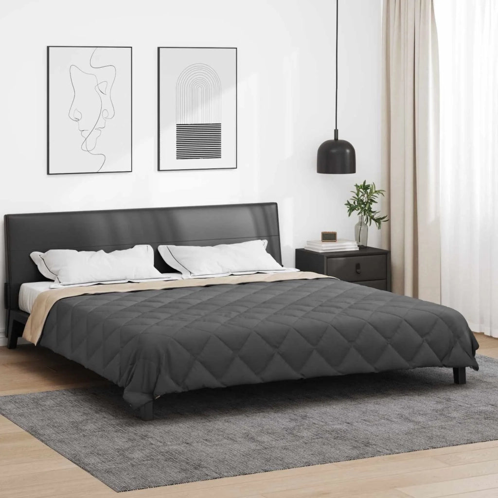 Piumone | Duvet Completo Annuale Antracite e Talpa 220 x 240 cm