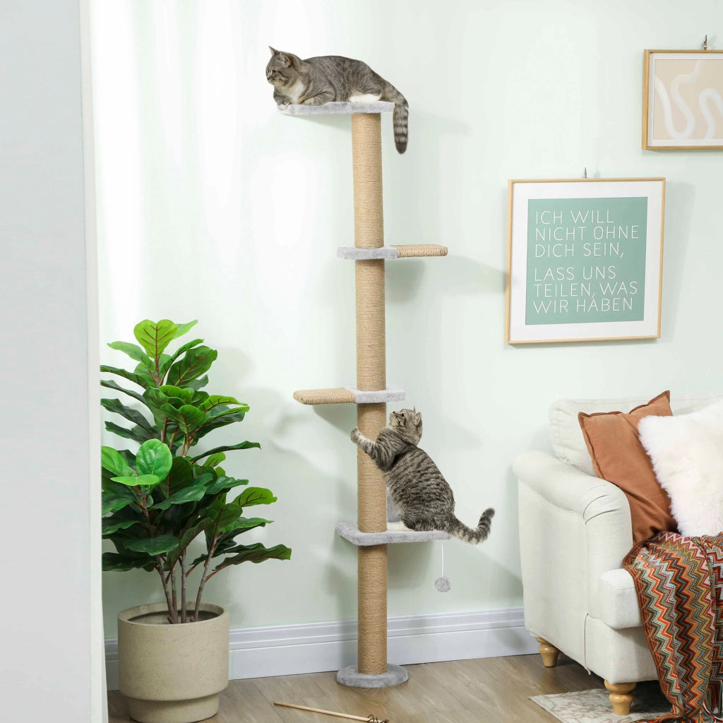 Ripiani per Gatti ¨C zephmum ¨C Grigio 180 cm