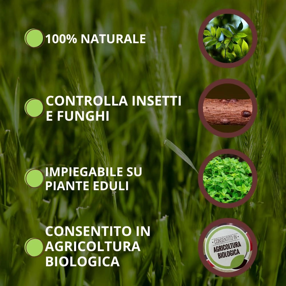 INSETTICIDA PROTEZIONE TOTALE A BASE DI ORTICA- - ml.750 - 2 pezzi VITHAL