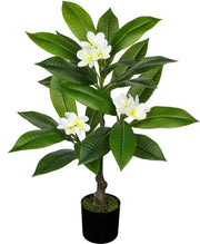 75 cm Kunstplant Tropica con Fiore di Plumeria Bianco e Frangipani per Decorazione di Casa, Soggiorno, Camera e Ufficio
