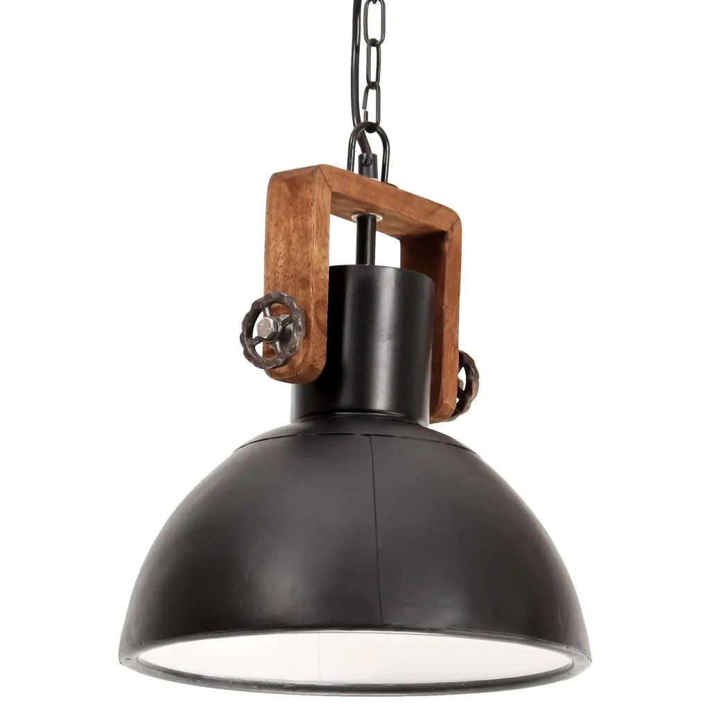 Lampada a Sospensione Industriale 25 W Nera Rotonda 30 cm E27 320536