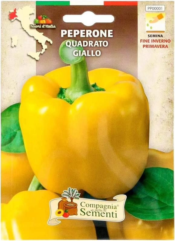 BUSTA ORTO PEPERONE QUADRATO GIALLO