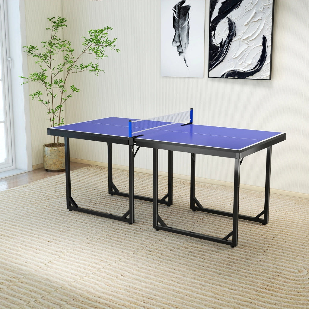 Tavolo da Ping Pong Pieghevole ¨C Minimal ¨C Blu Viola 182x91 cm